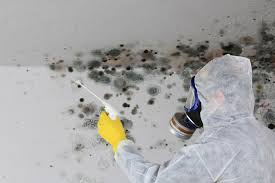 Best Commercial Mold Inspection  in Hillsboro, KS